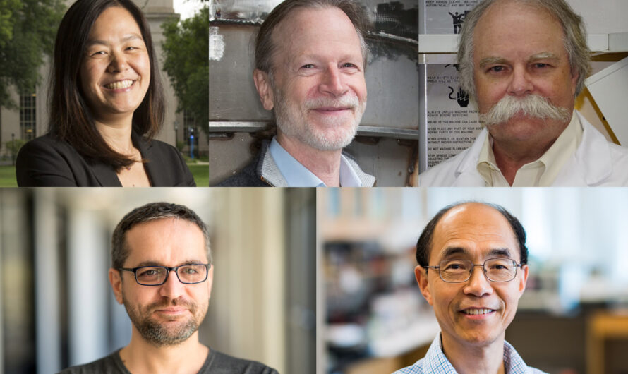 Cinco profesores del MIT elegidos 2021 AAAS Fellows |  Noticias del MIT