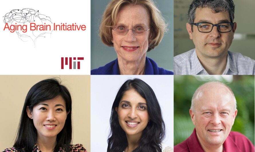 Los premios Aging Brain Initiative otorgan fondos para cinco nuevas ideas para estudiar y combatir la neurodegeneración |  Noticias del MIT