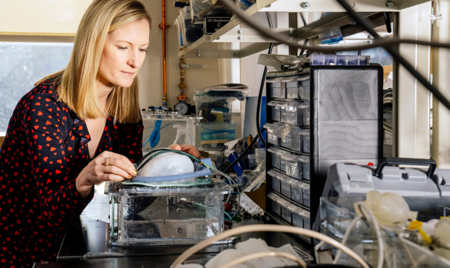 Ingenieros del MIT diseñan un ventilador implantable y flexible |  Noticias del MIT