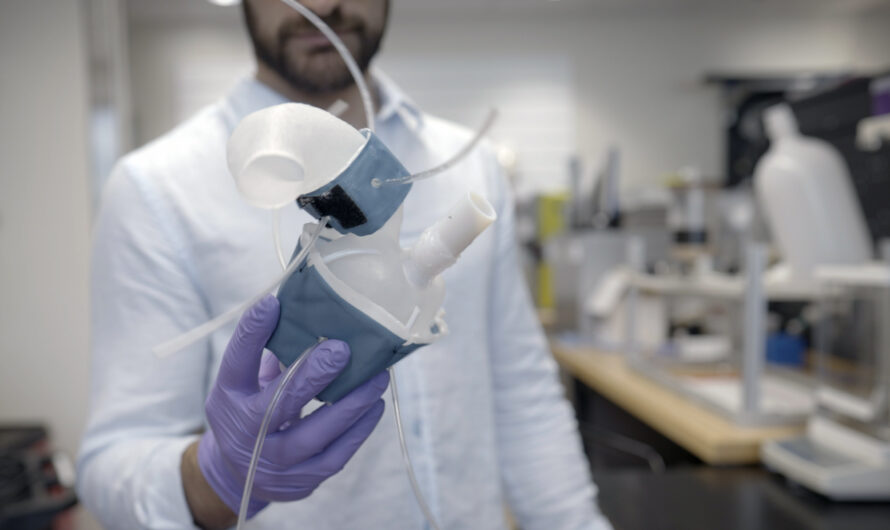 Réplicas de corazón personalizadas impresas en 3D se ven y bombean como si fueran reales |  Noticias del MIT
